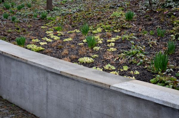 Concrete Wall Construction in Elkhart