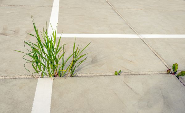 Concrete Parking Installation in Elkhart