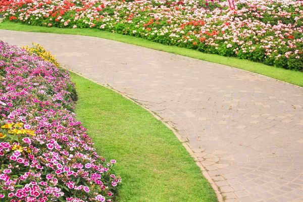 Concrete Walkway Service in Elkhart